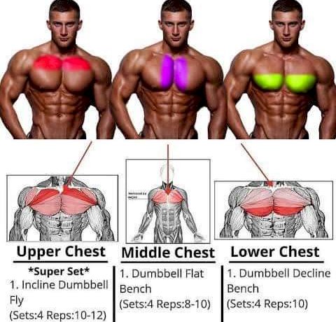 Upper & Lower Chest exercises @sionmonty  Lower chest workout, Best  at home workout, Chest workouts