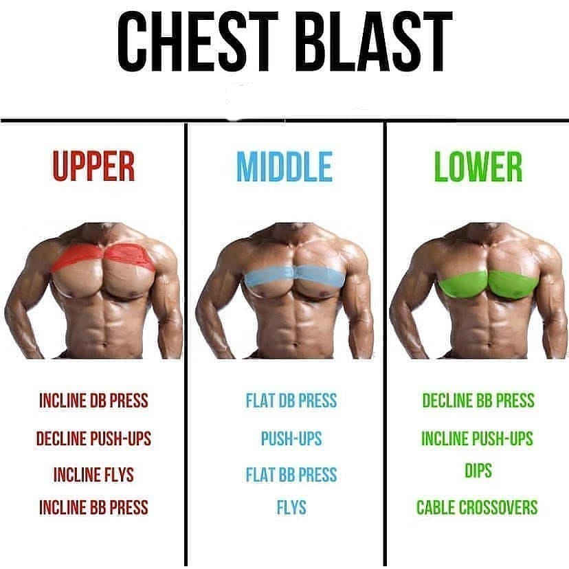Upper & Lower Chest exercises @sionmonty