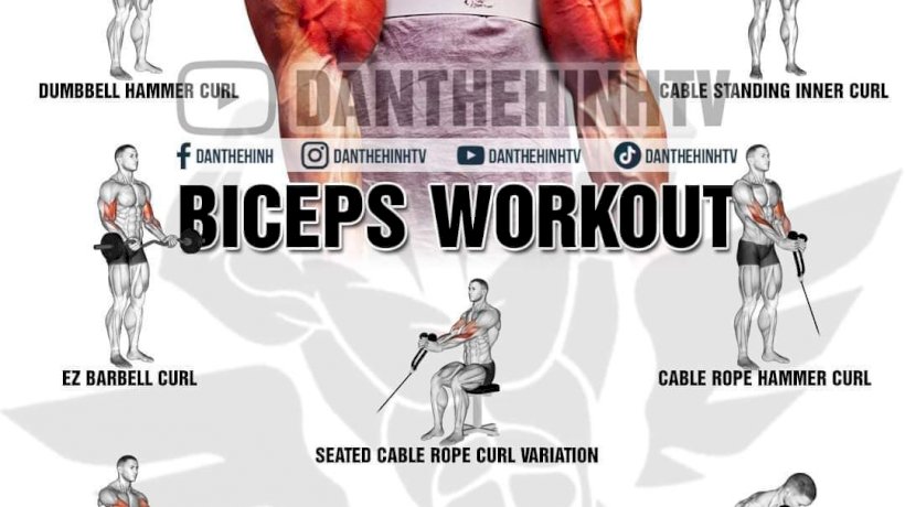 Biceps & Triceps Workout👇🏽 • Seated Bicep Curls • Tricep Dips Machine •  Cable Curls • Tricep Rope Extension • DB Hammer
