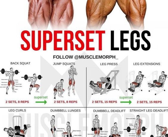 MuscleMorph - SUPERSET ARMS WORKOUT [Dumbbells Only] by @sionmonty