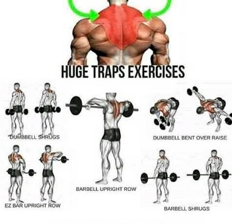 LATLET - #300-Huge-traps-workout----TRAPS--Workout --TrapsWorkout--Bodybuilding